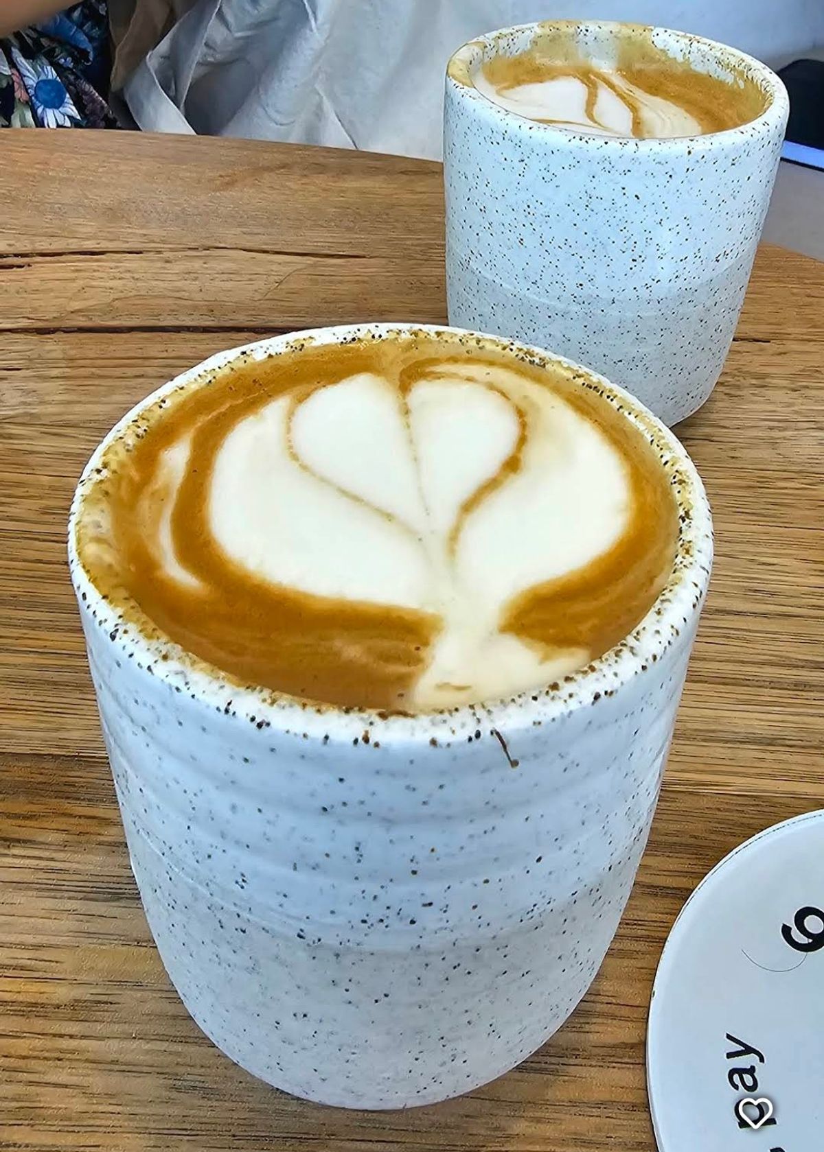 Pocket Bondi thumbnail 8