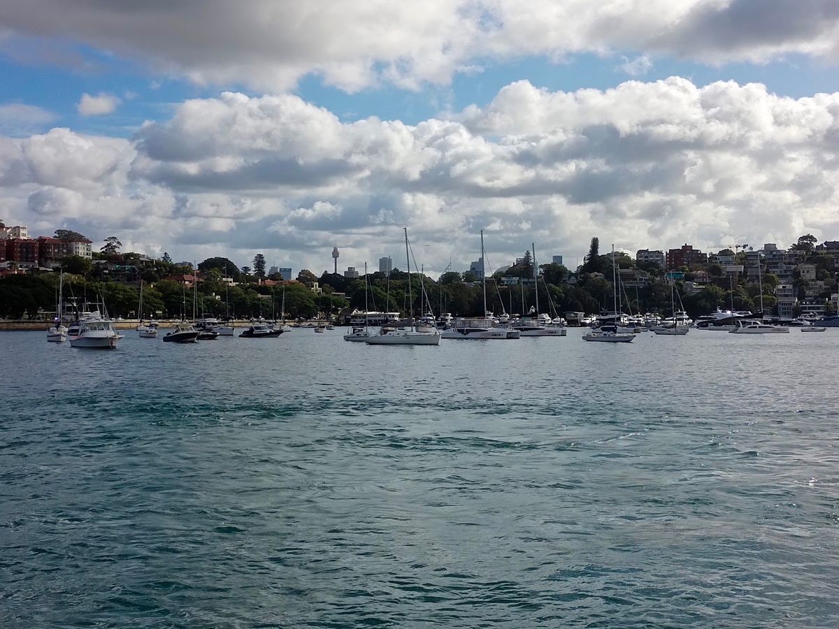 Rose Bay Social thumbnail 4