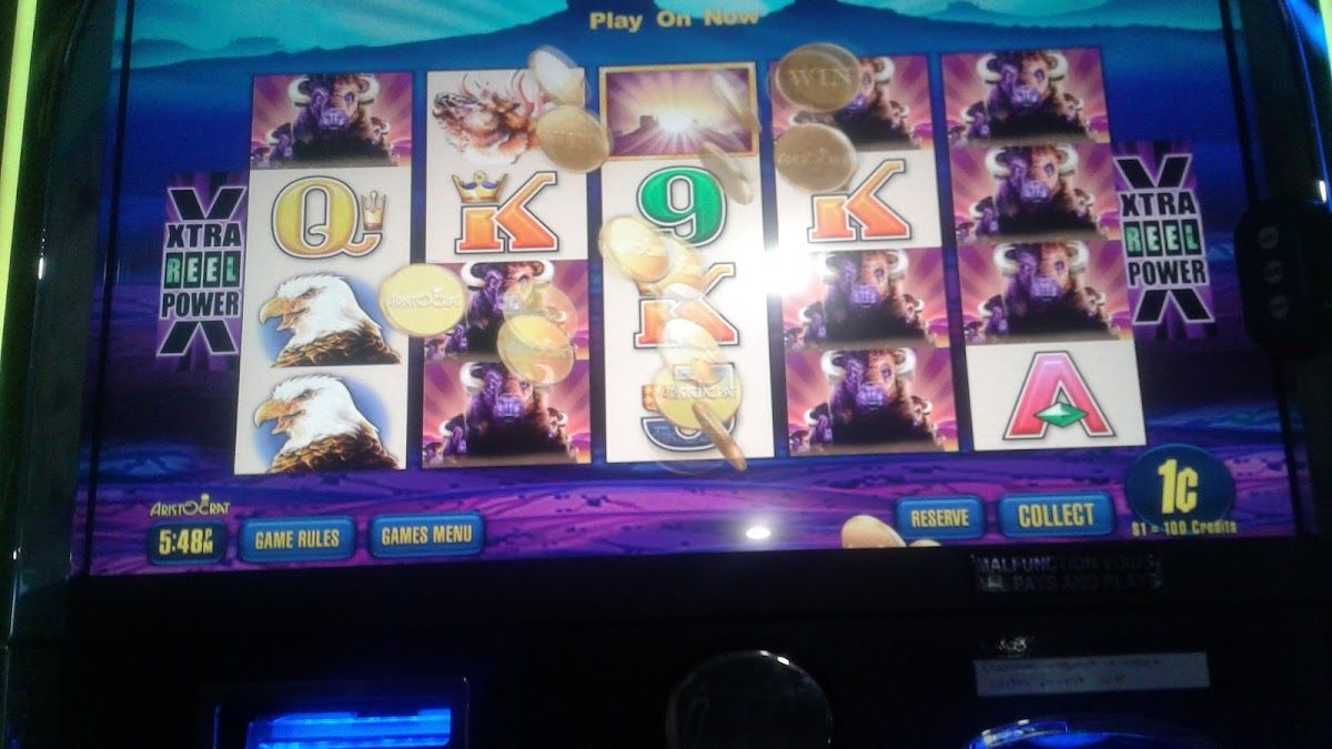 The Showground Tavern thumbnail 9