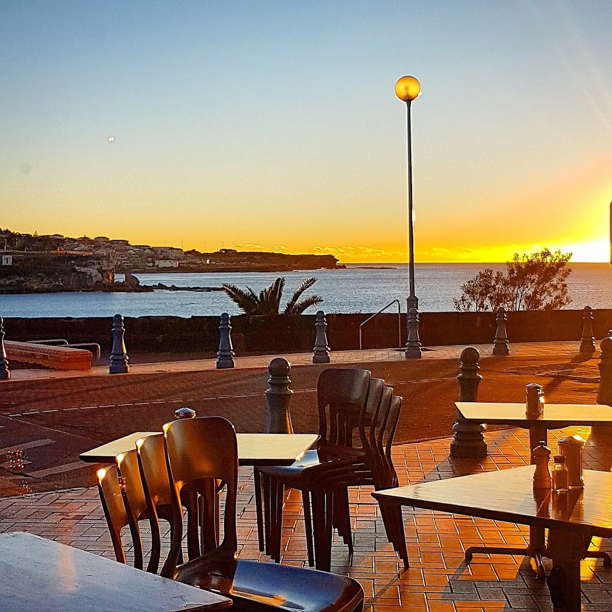 Photo of Barzura, one of the top bars in Coogee