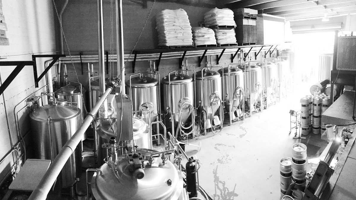 Featured image for Modus Brewing