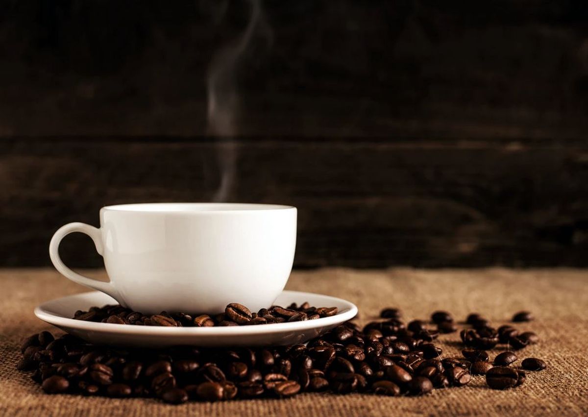 NiBu Cafe thumbnail 2