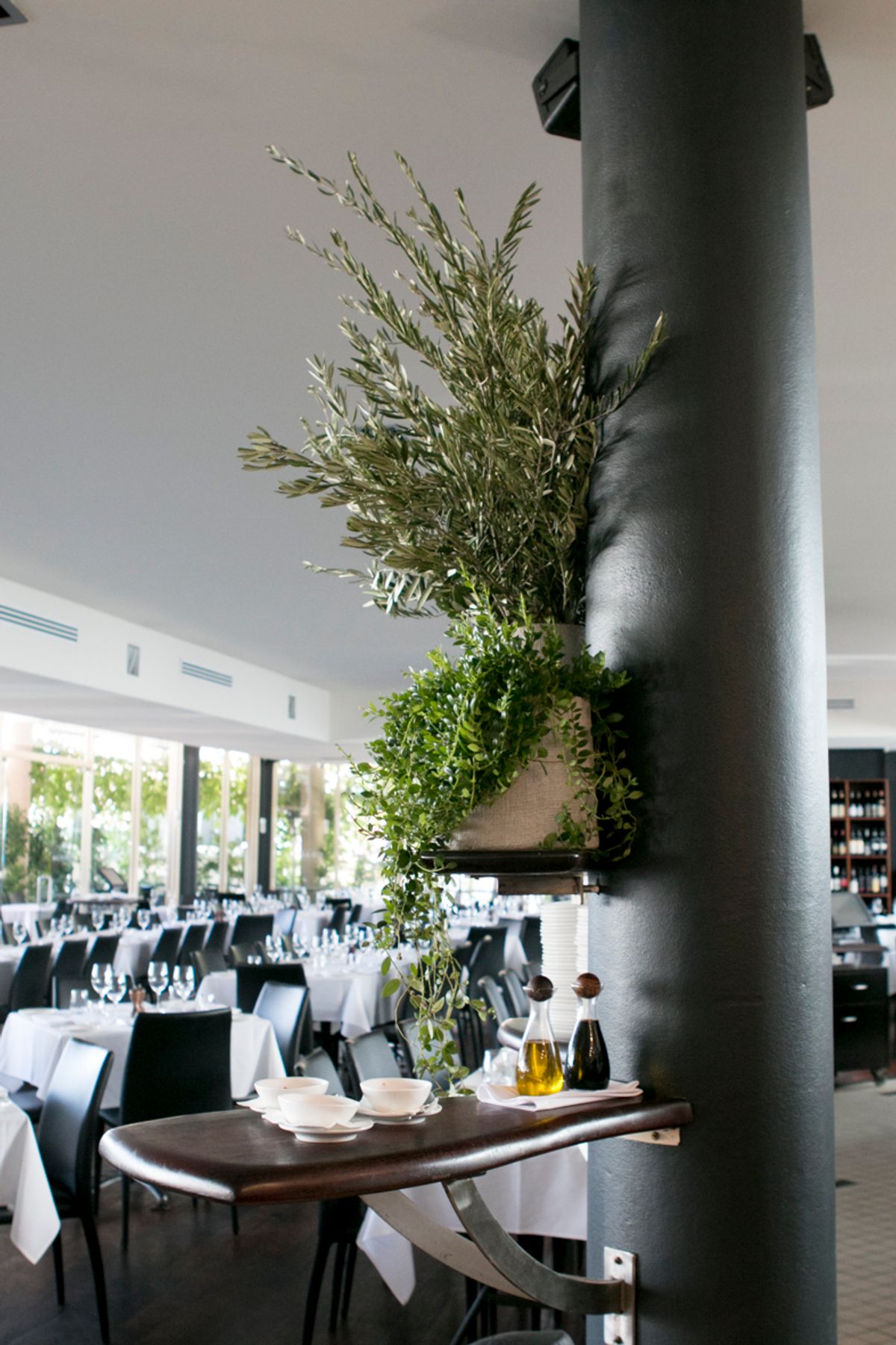 Featured image for Grappa Ristorante e Bar