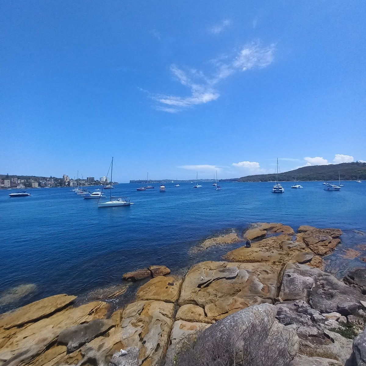 Manly Pavilion thumbnail 9