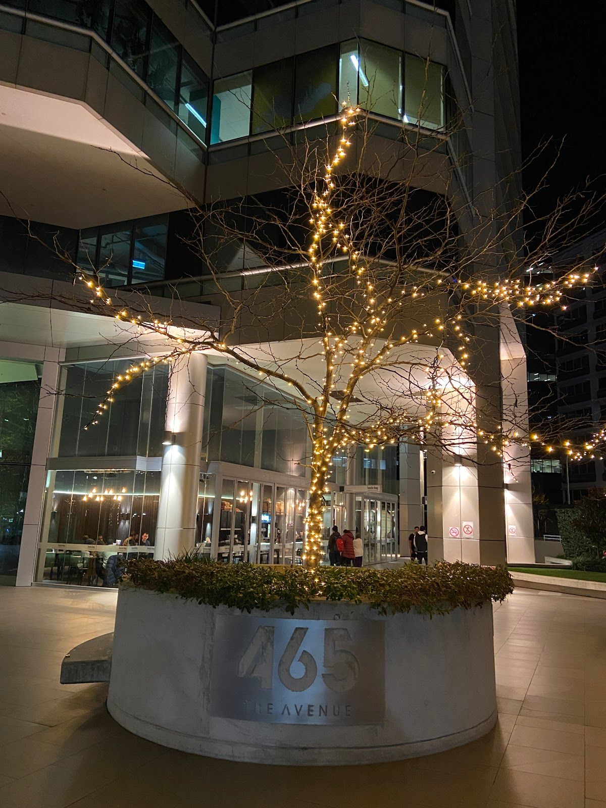 465 The Avenue thumbnail 6