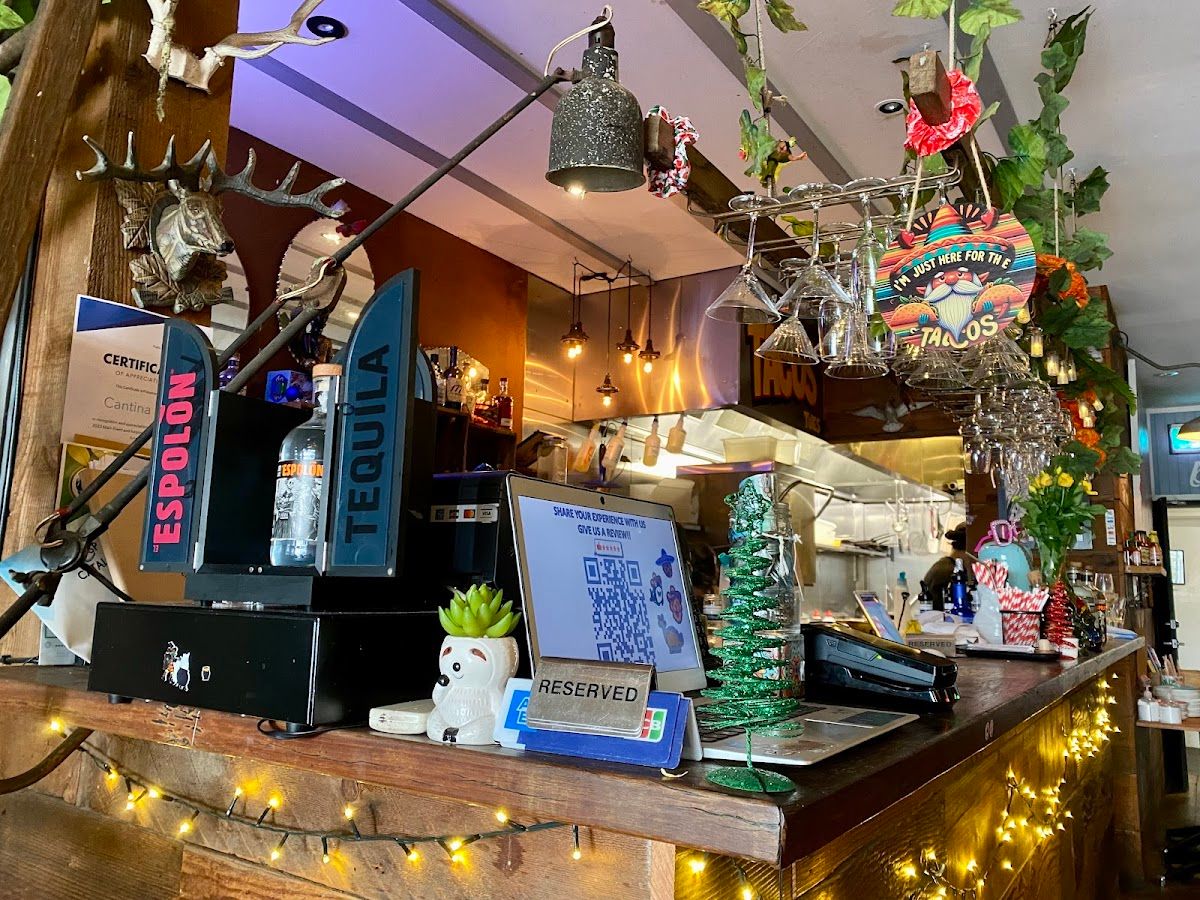 Cantina Bar Balmain thumbnail 2