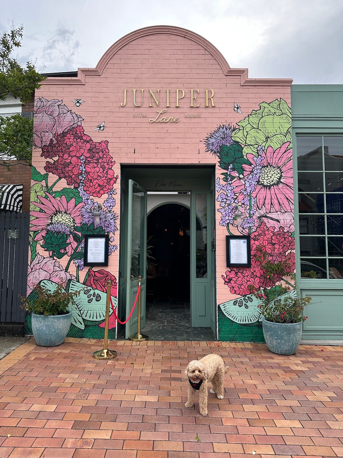 Juniper Lane thumbnail 3