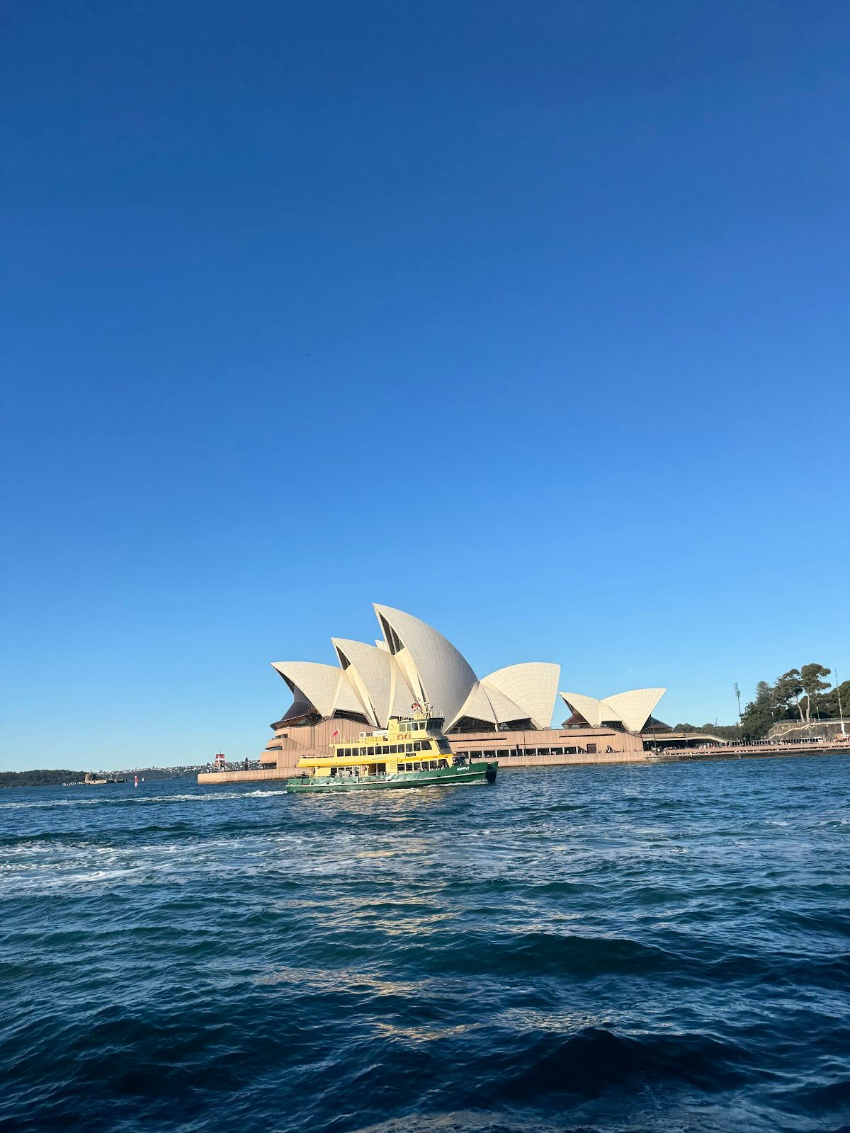 Captain Cook Cruises - Circular Quay thumbnail 3