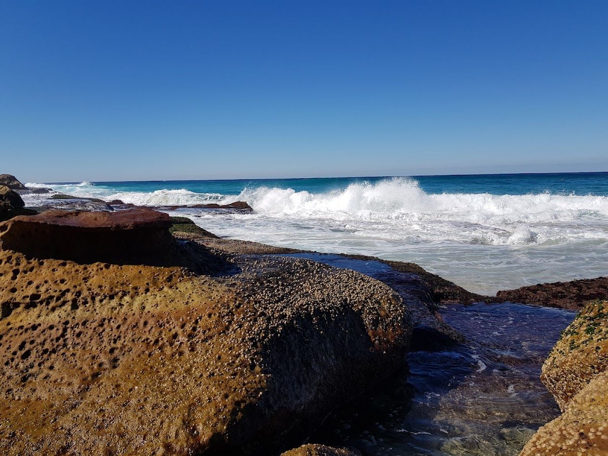 Bronte Surf Life Saving Club thumbnail 5