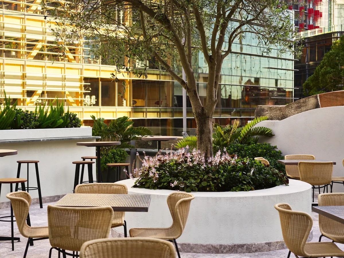 Photo of The Sussex Hotel, one of the top bars in Sydney
