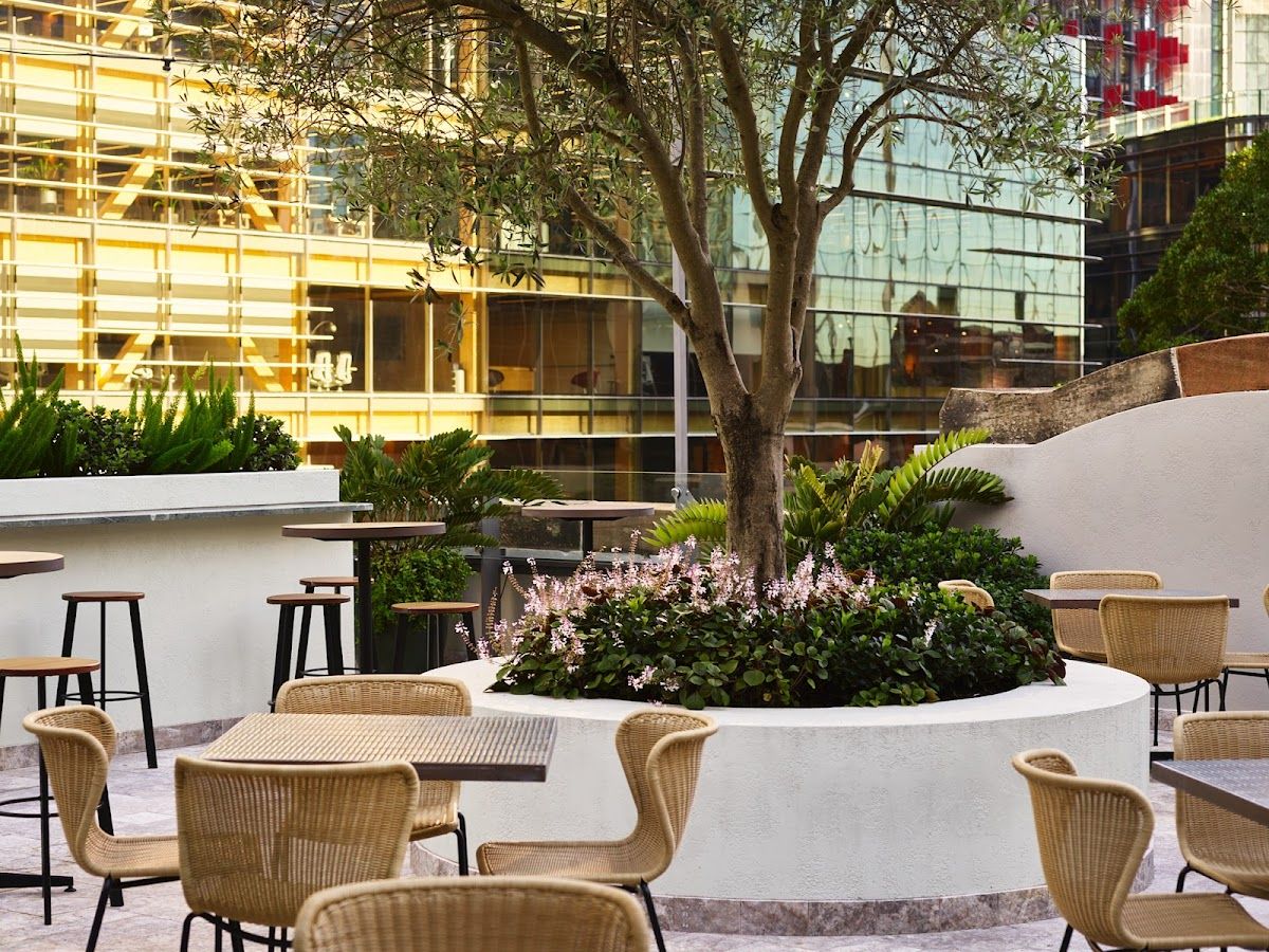Featured image for The Sussex Hotel