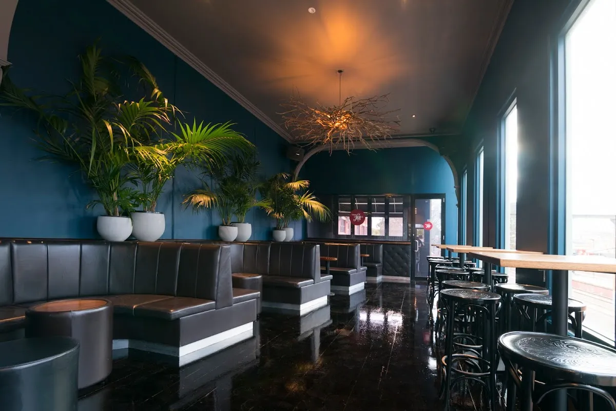 Maeve Fox - Bar image