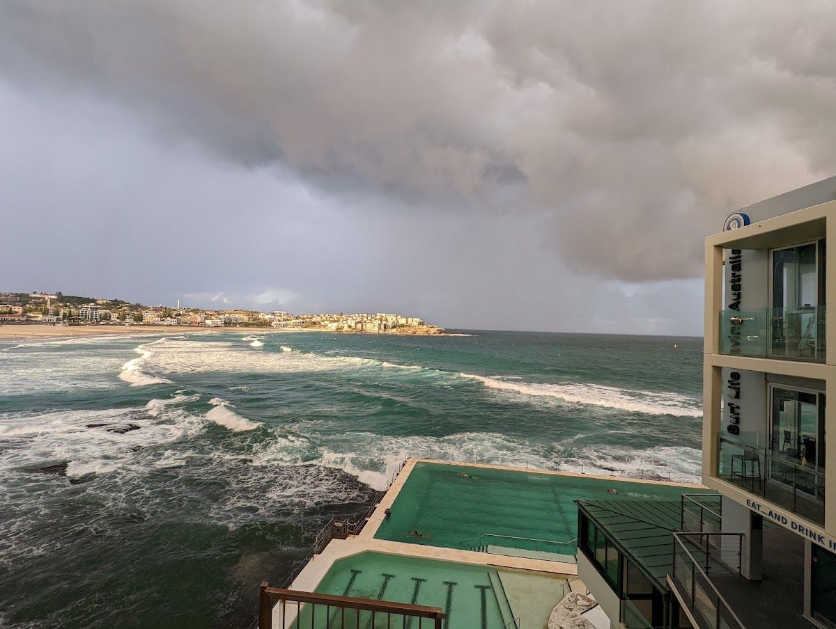 Bondi Icebergs Swimming CLUB thumbnail 3