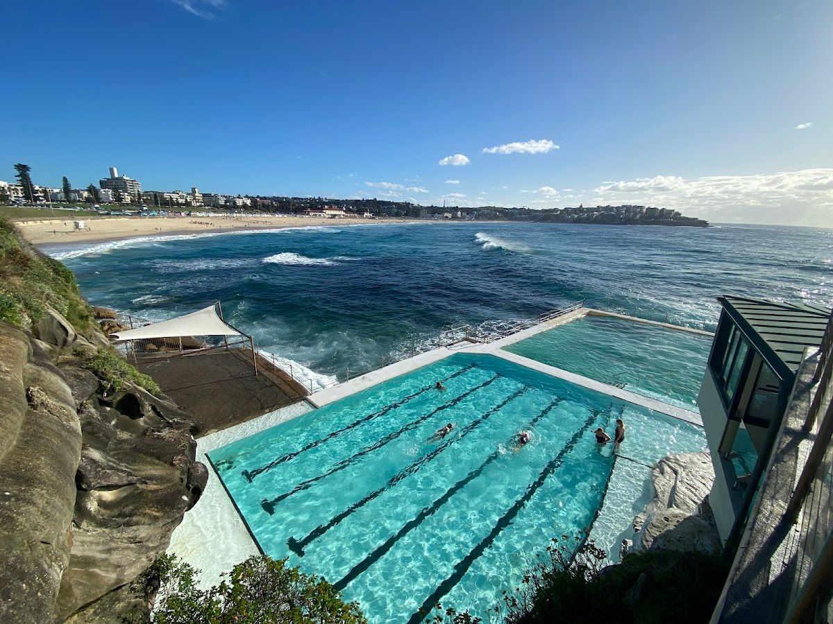 Bondi Icebergs Swimming CLUB thumbnail 2
