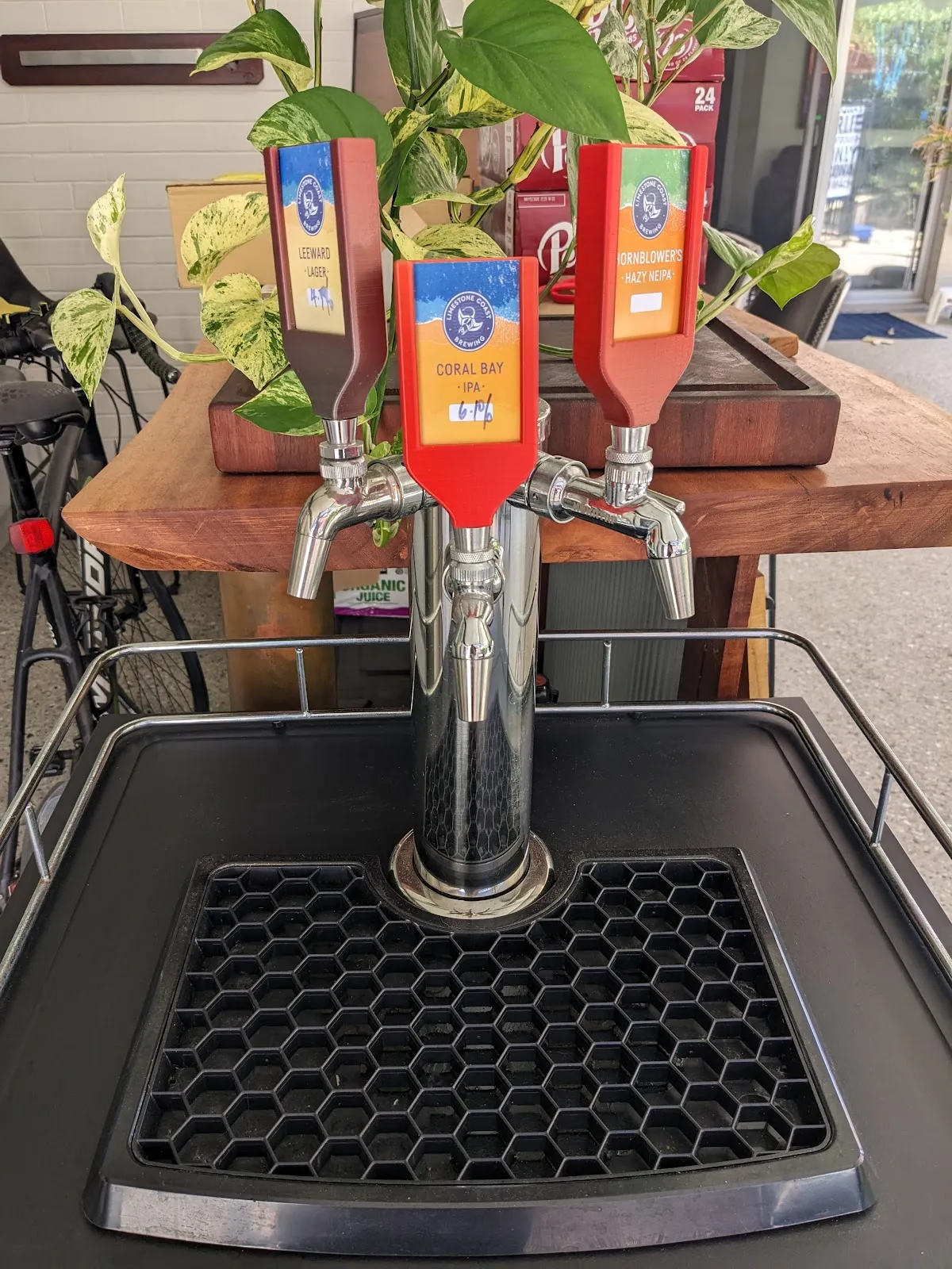 Manta Ray Station - Bar image