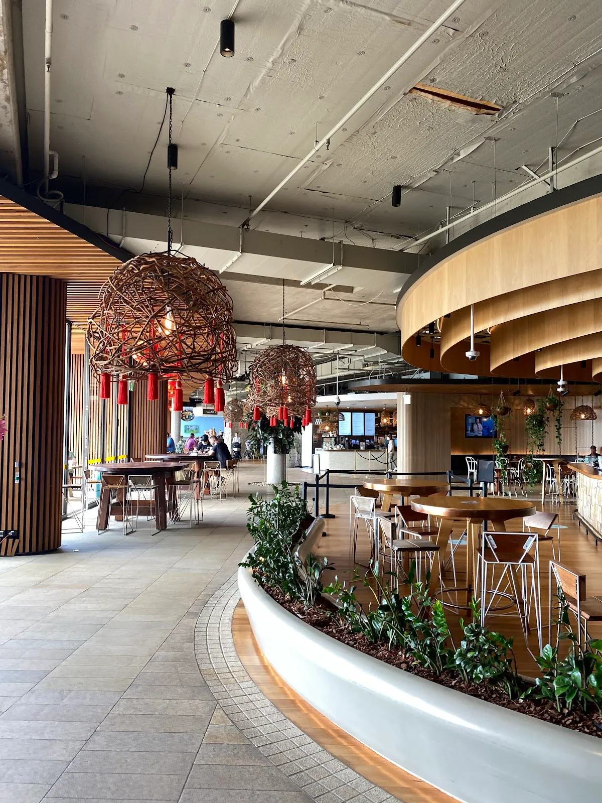 Photo of Harbord Diggers, one of the top bars in Freshwater