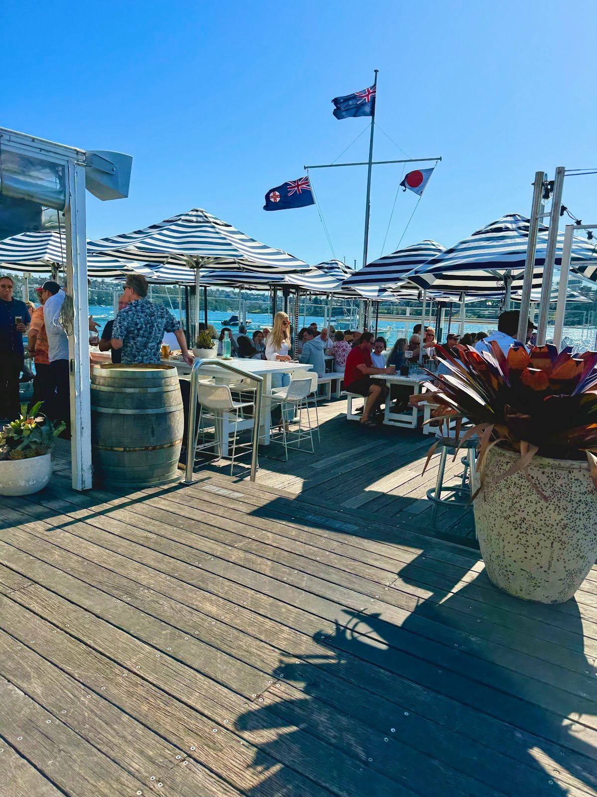 Manly 16ft Skiff Sailing Club thumbnail 6