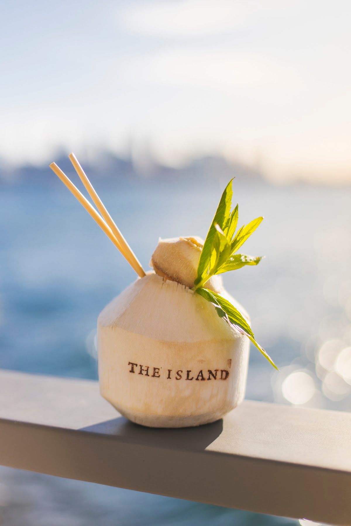 Featured image for The Island