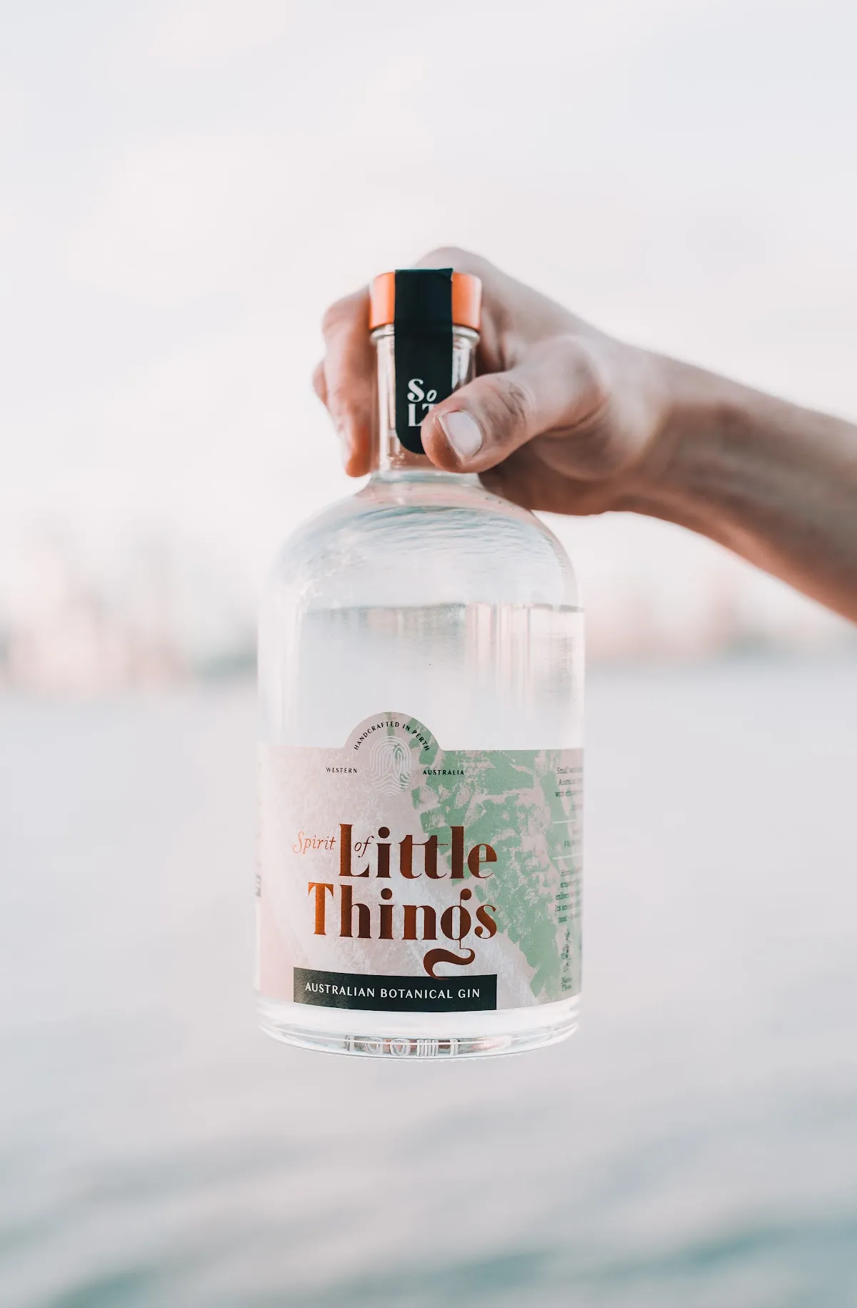 Spirit of Little Things - Bar image