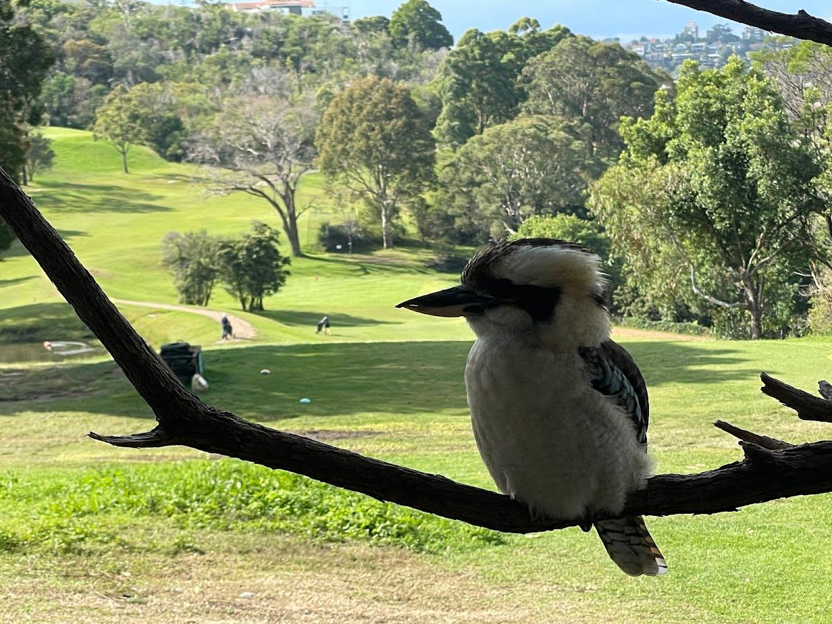 Northbridge Golf Club thumbnail 5