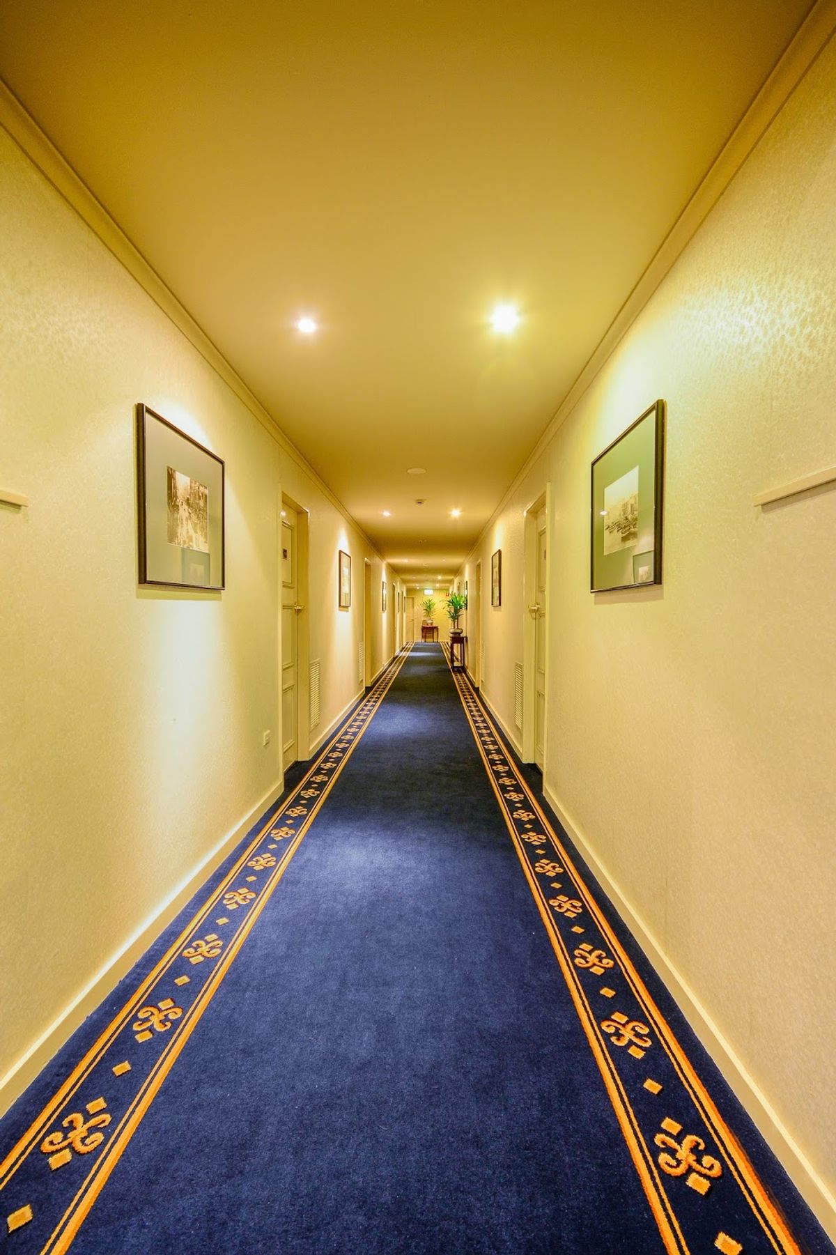 Castlereagh Boutique Hotel, Ascend Hotel Collection thumbnail 6