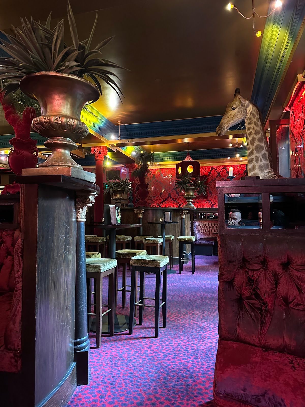 The Carlton Club thumbnail 2