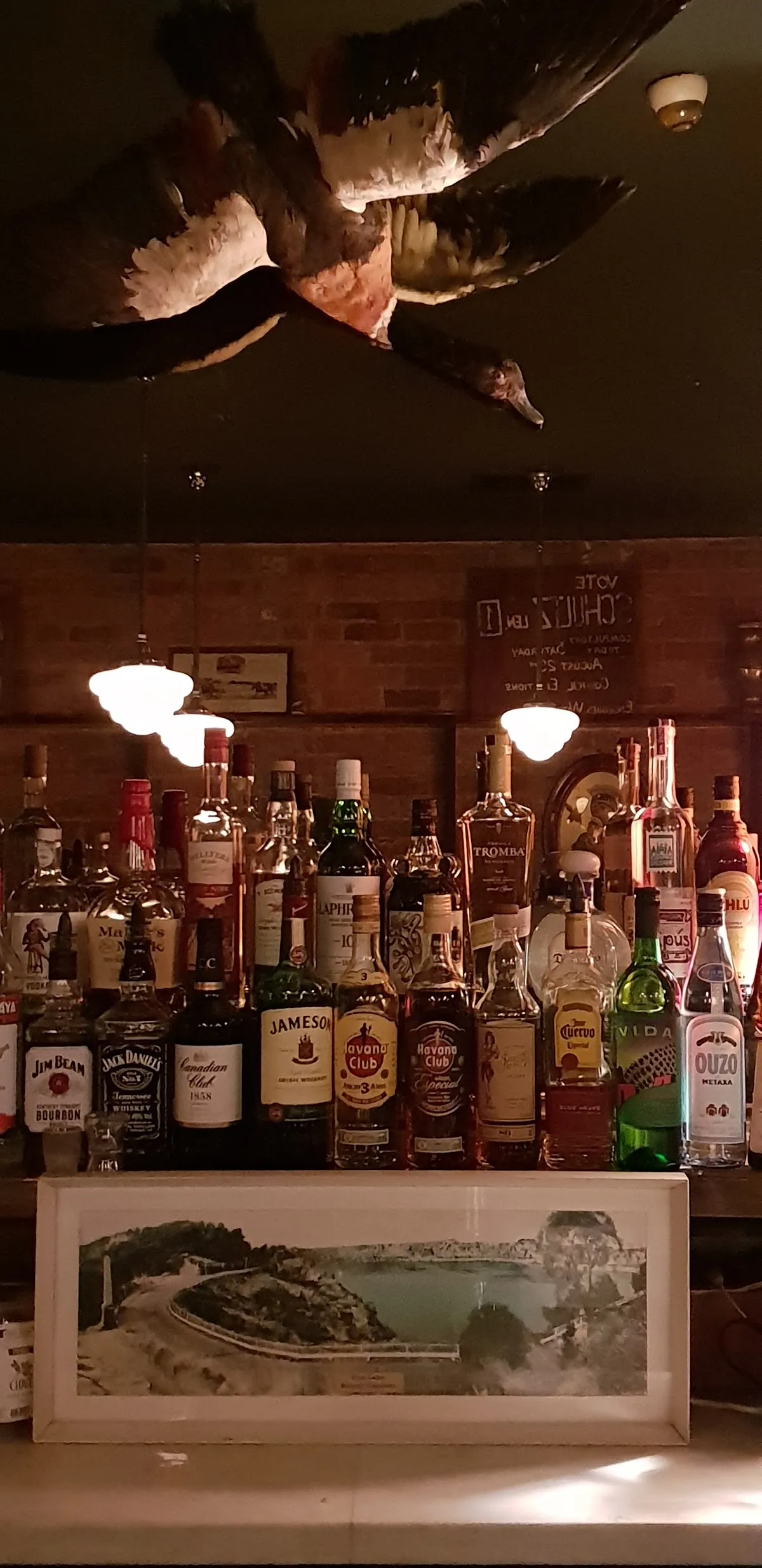 The Merri Creek Tavern - Bar image