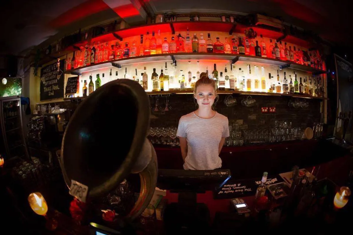 The Hive Bar - Bar image