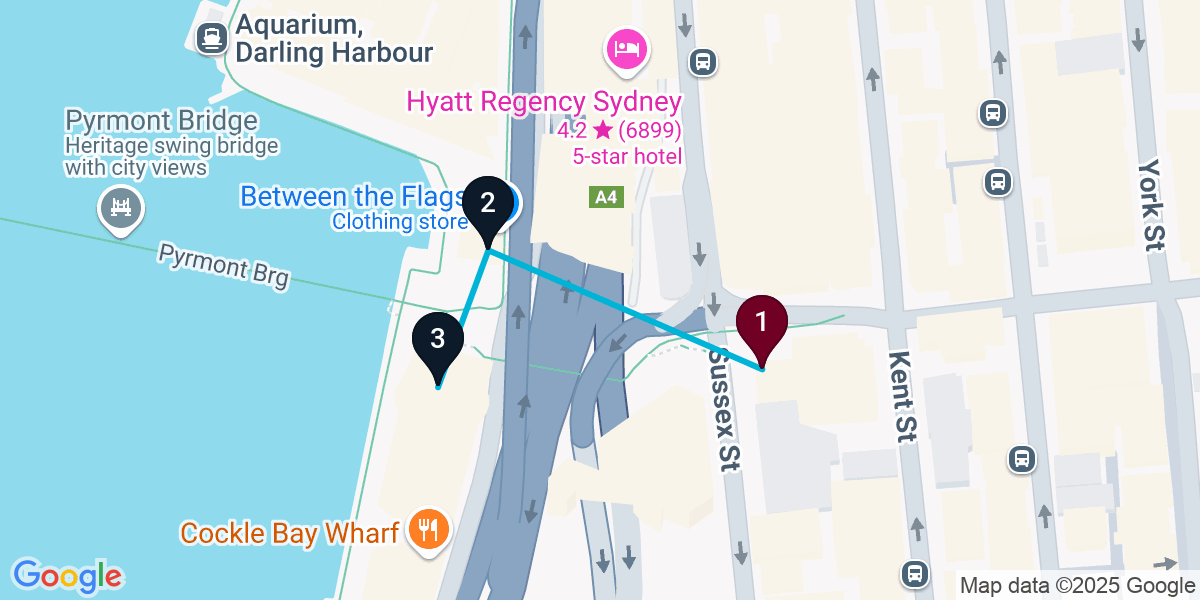 Map for Sydney Pub Crawl: Elevated Fare & Rooftop Vibes