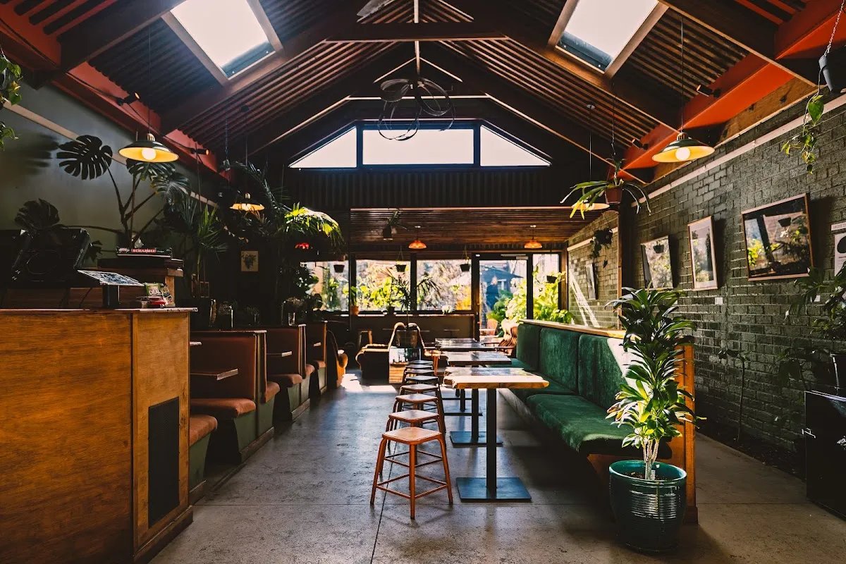 Featured image for House of Plants Bar