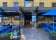 Munich Brauhaus Sydney thumbnail 5