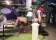 Tinsel Town/ Santa’s Village thumbnail 2