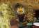 Tinsel Town/ Santa’s Village thumbnail 1