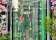 Dolce Fiori thumbnail 10