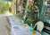 Dolce Fiori thumbnail 1
