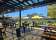 Camperdown Commons thumbnail 4