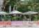 The Cottage Balmain thumbnail 7