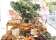 GINGER PEAR GRAZE - Wedding Catering | Corporate Catering | Grazing Tables thumbnail 3