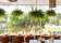 Osteria Coogee thumbnail 4