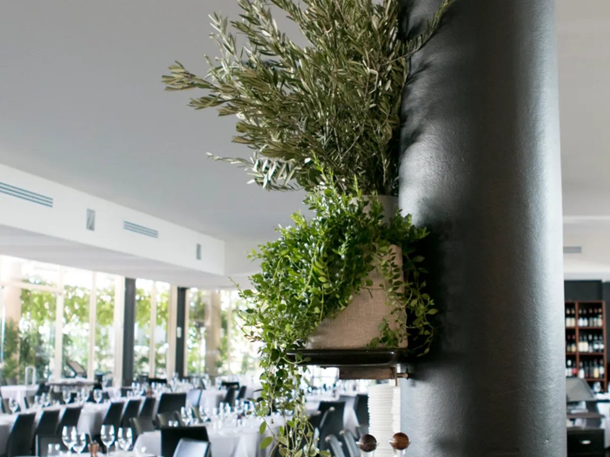 Featured image for Grappa Ristorante e Bar