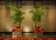 Station House Hotel thumbnail 9