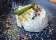Sahar Afghan Restaurant thumbnail 3