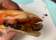 Bar Anvi thumbnail 9