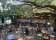 The Warren View Hotel thumbnail 7