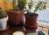 MAYAN COFFEES Organic Specialty Coffee - Roasters - Direct Trade thumbnail 5