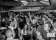 The Fitzroy Beer Garden thumbnail 3