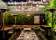 Woollahra Hotel thumbnail 5
