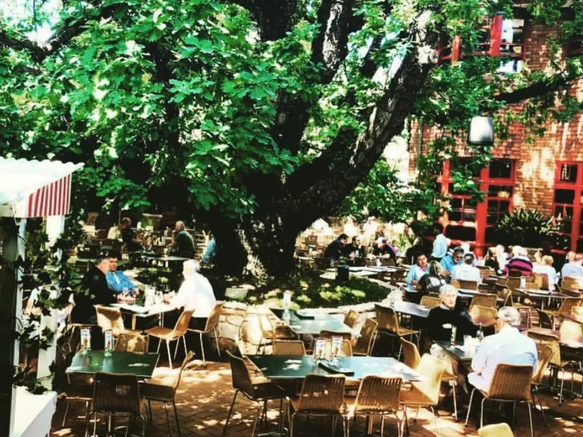 Featured image for The Oaks