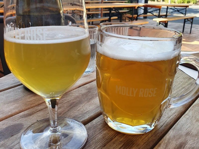 Molly Rose Brewery photo 1