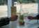Trevino Wine Bar thumbnail 3